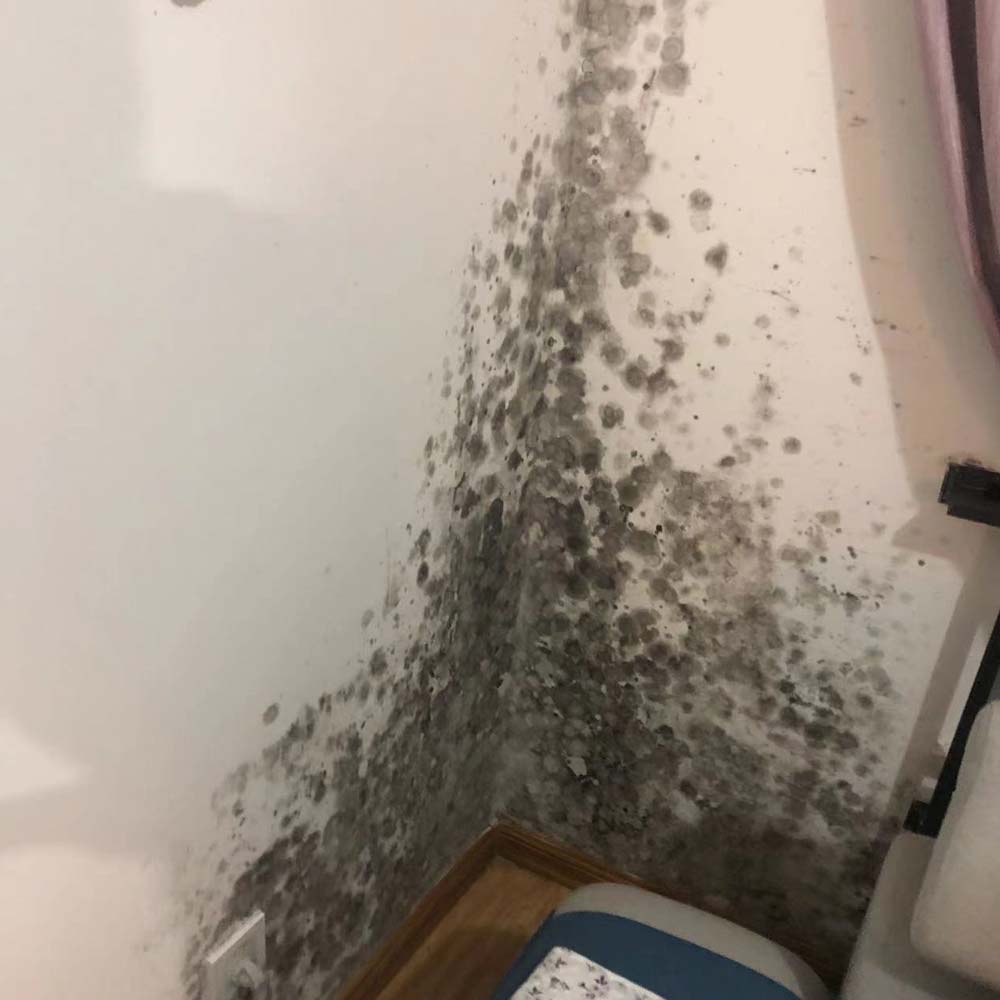 墻面滲水漏水發(fā)霉