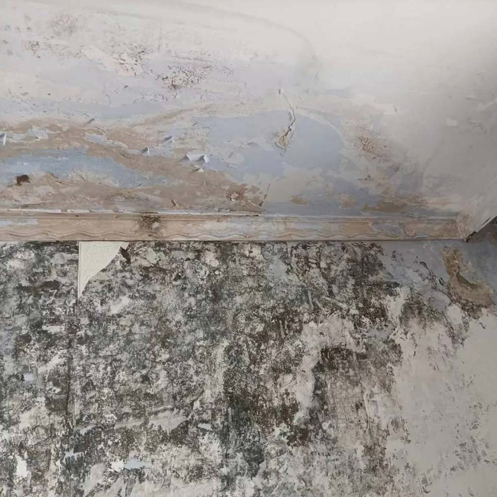 墻壁滲水發(fā)霉堵漏