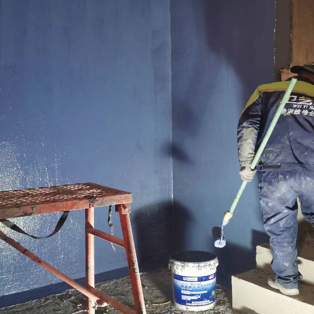 專業(yè)別墅防水防潮施工公司